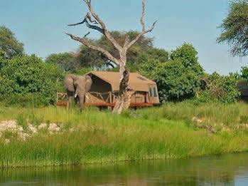 Camp Savuti Hotel Luaran gambar